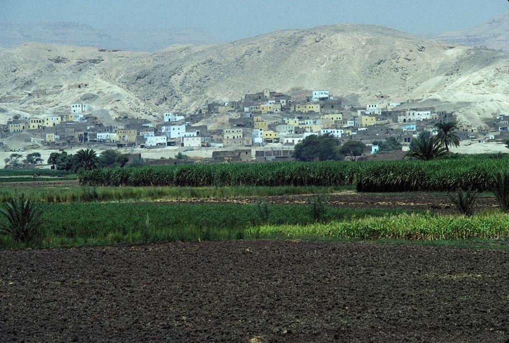 Lemon Tree Apartments Luxor Lel Agalta エクステリア 写真